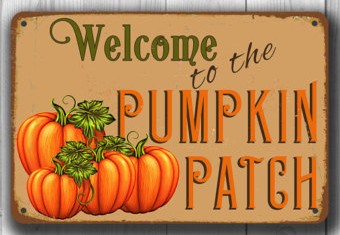 pumpkin patch